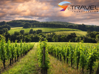 Франціяю Бордо. Квітень–червень весна 2026