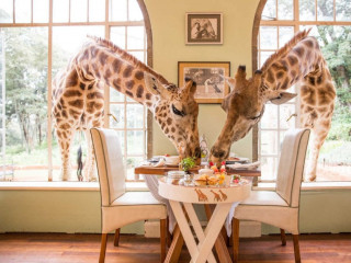 Усадьба Giraffe Manor – Кения зима 2021