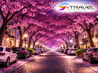 Японська сакура в Європі — Бонн, Німеччина апрель 2026